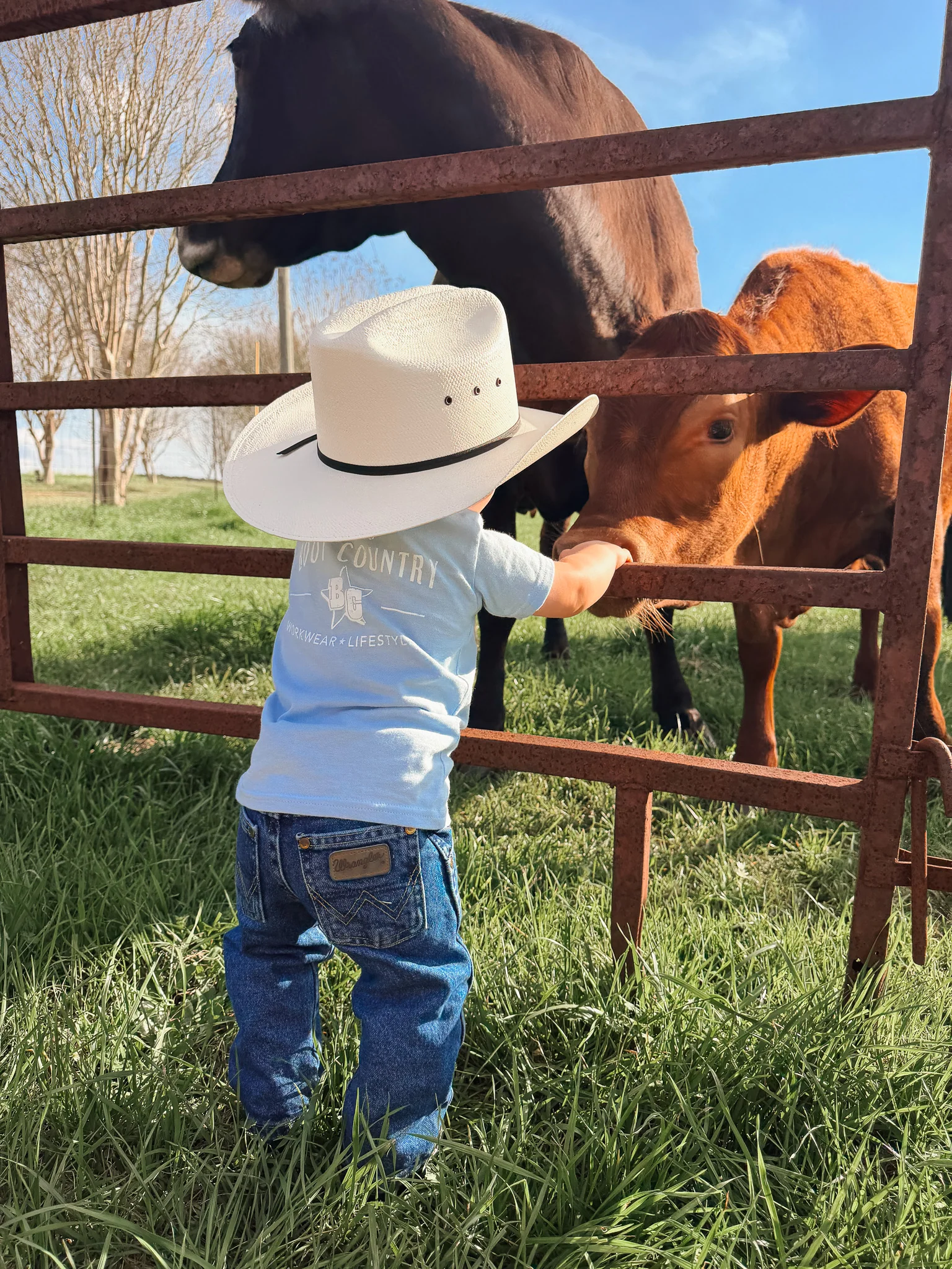 Wrangler Toddler & Children's George Strait Original Cowboy Cut Jeans