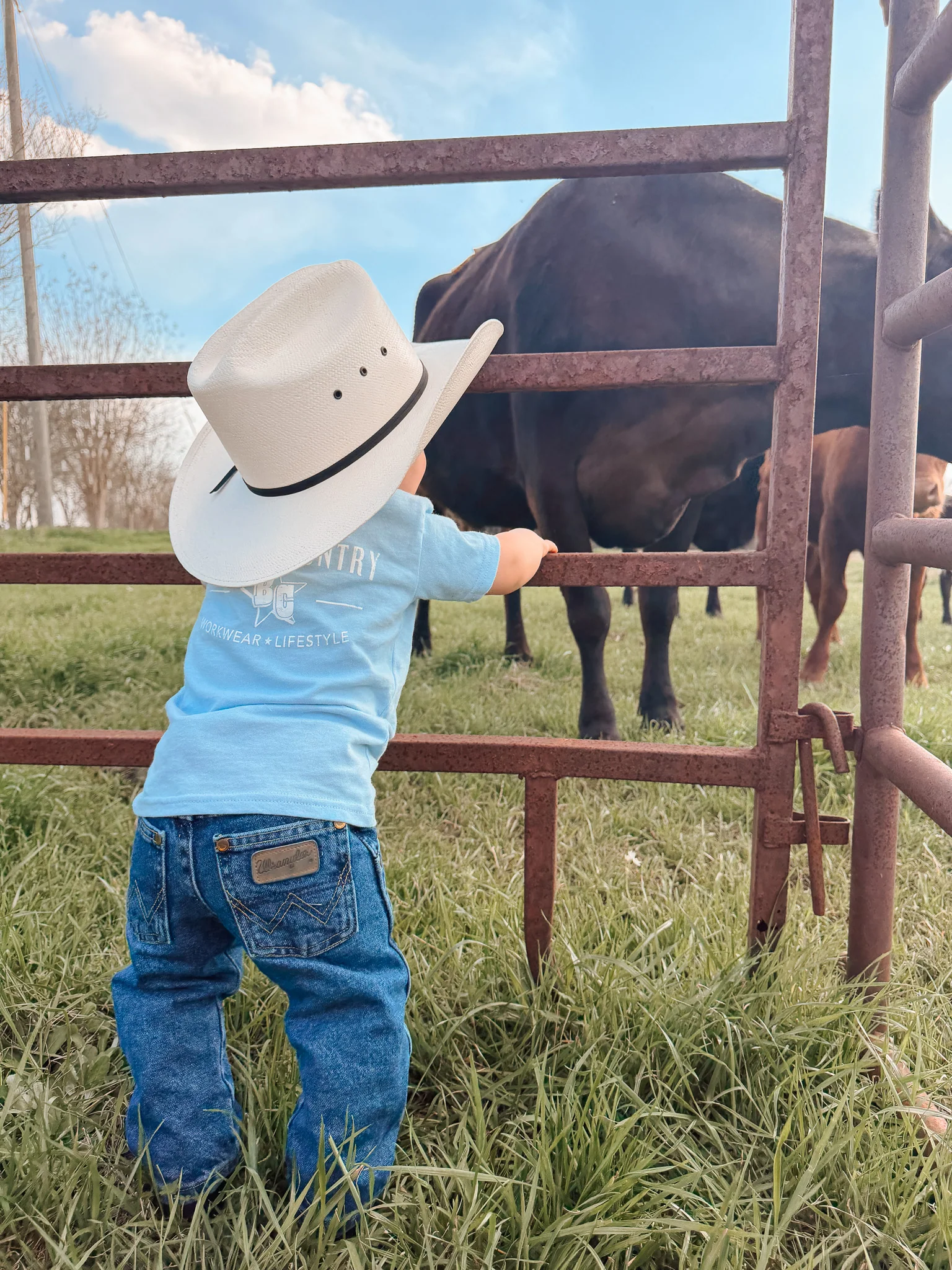 Wrangler Toddler & Children's George Strait Original Cowboy Cut Jeans - Image 4