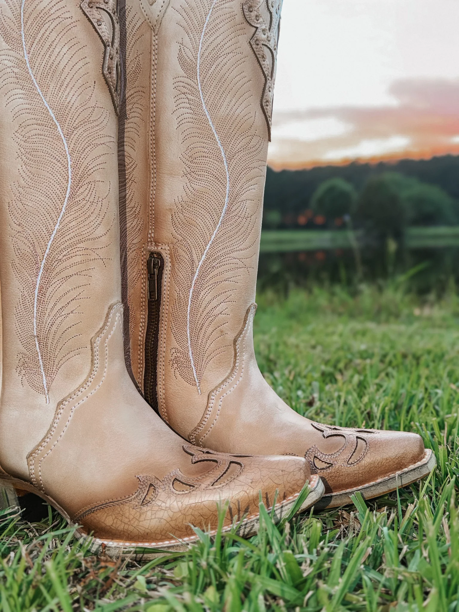 Women's Corral Feathered Embroidery Crackled Western Boot - Image 3