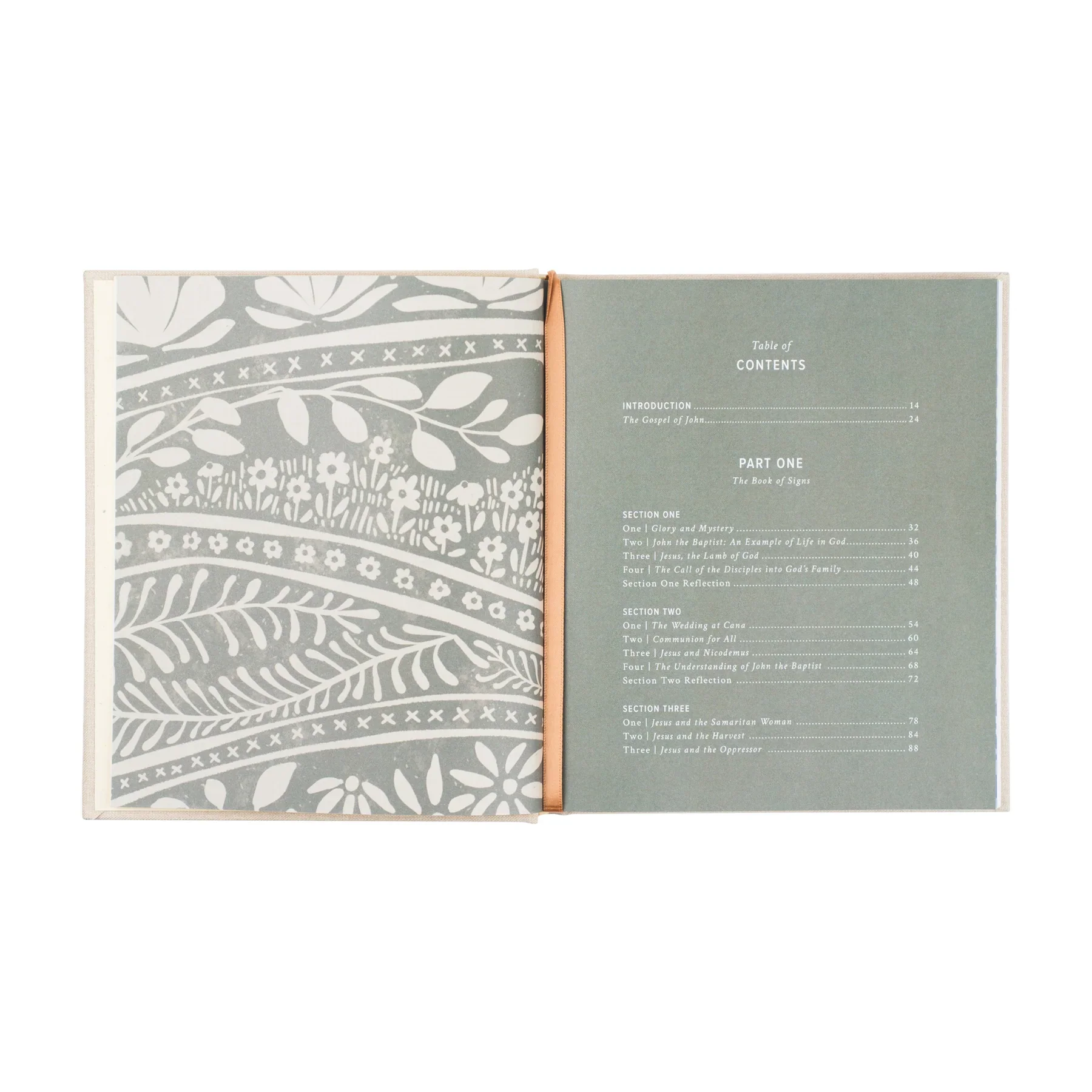 Hosanna Revival God Our Home Study Book - Image 12