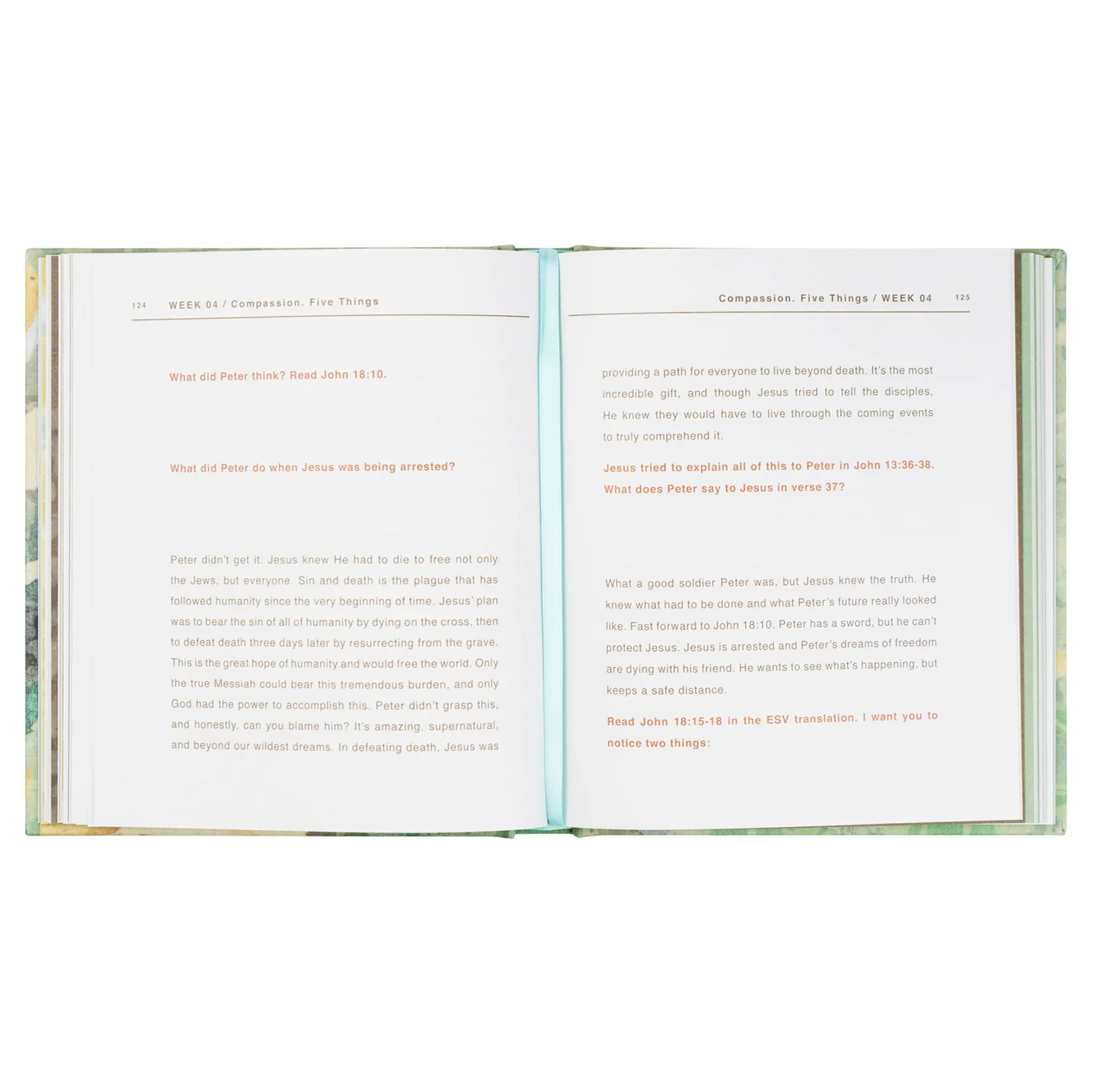 Hosanna Revival I Am Not In Charge Study Book - Image 16