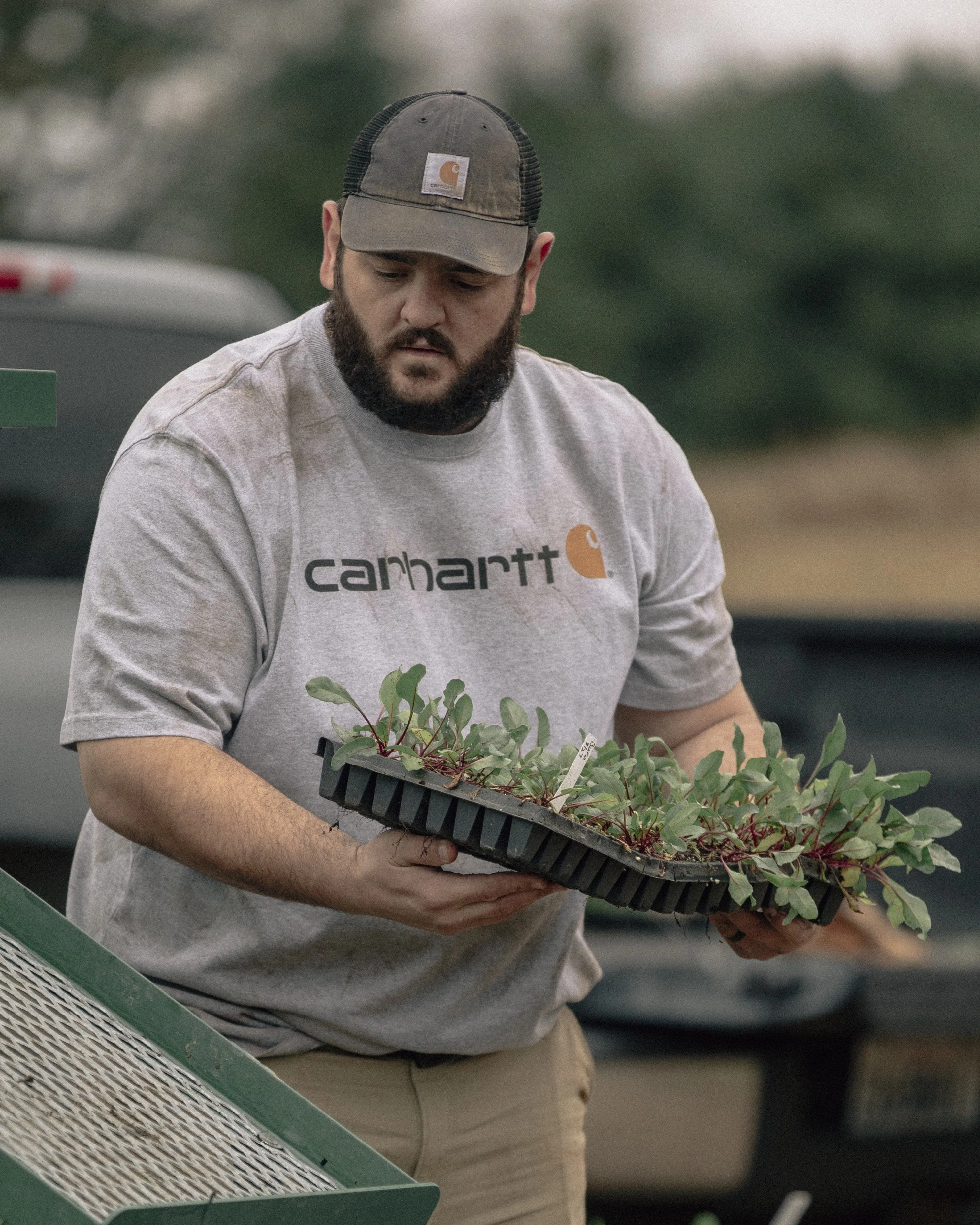 Carhartt Loose Fit Heavyweight Short-Sleeve Logo Graphic T-Shirt - Image 4