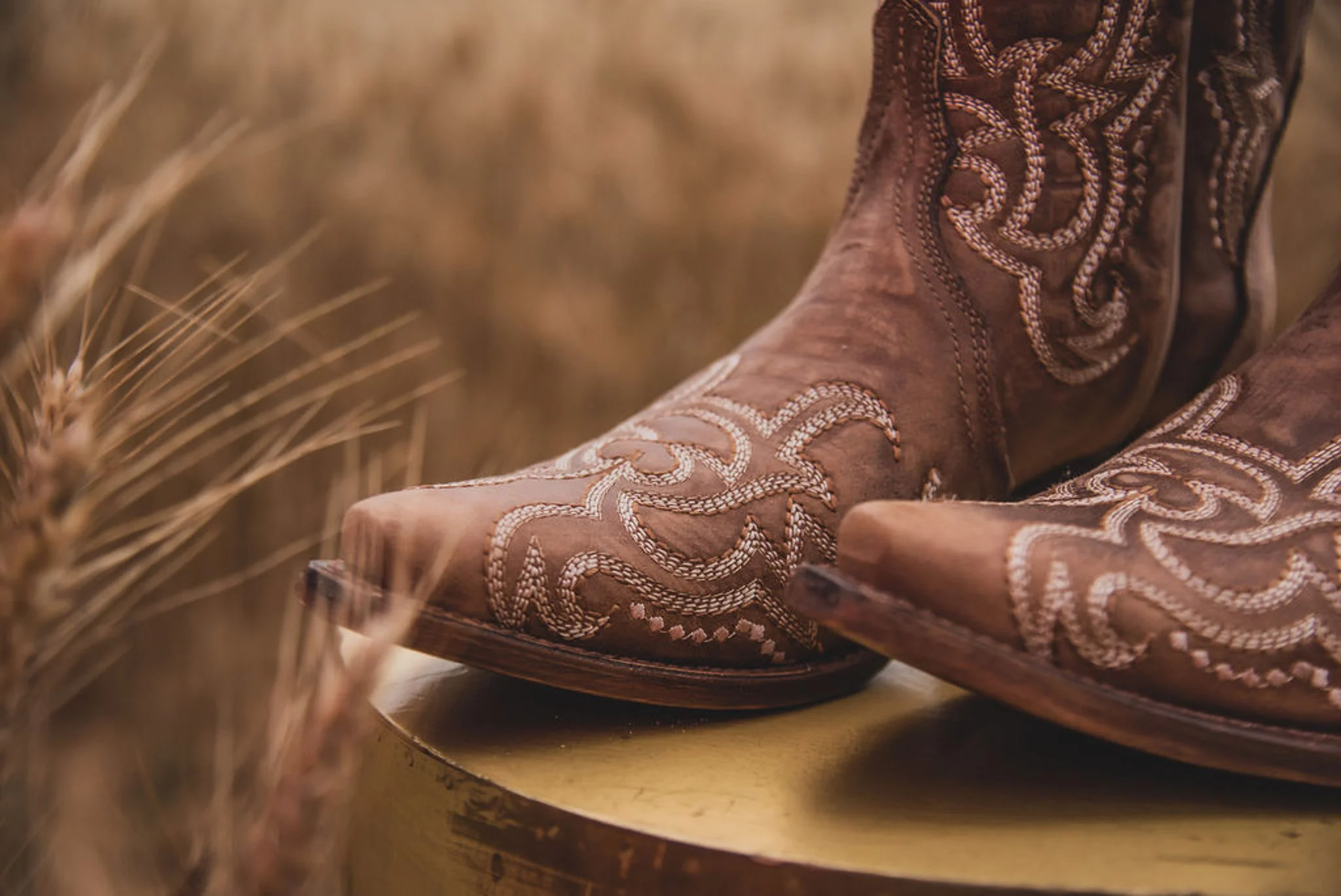 WOMEN'S CIRCLE G BY CORRAL BROWN SEQUENCE EMBROIDERY BOOTS - Image 10