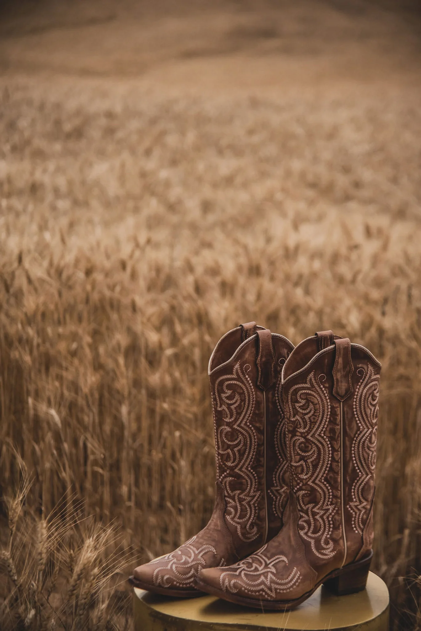 WOMEN'S CIRCLE G BY CORRAL BROWN SEQUENCE EMBROIDERY BOOTS - Image 8