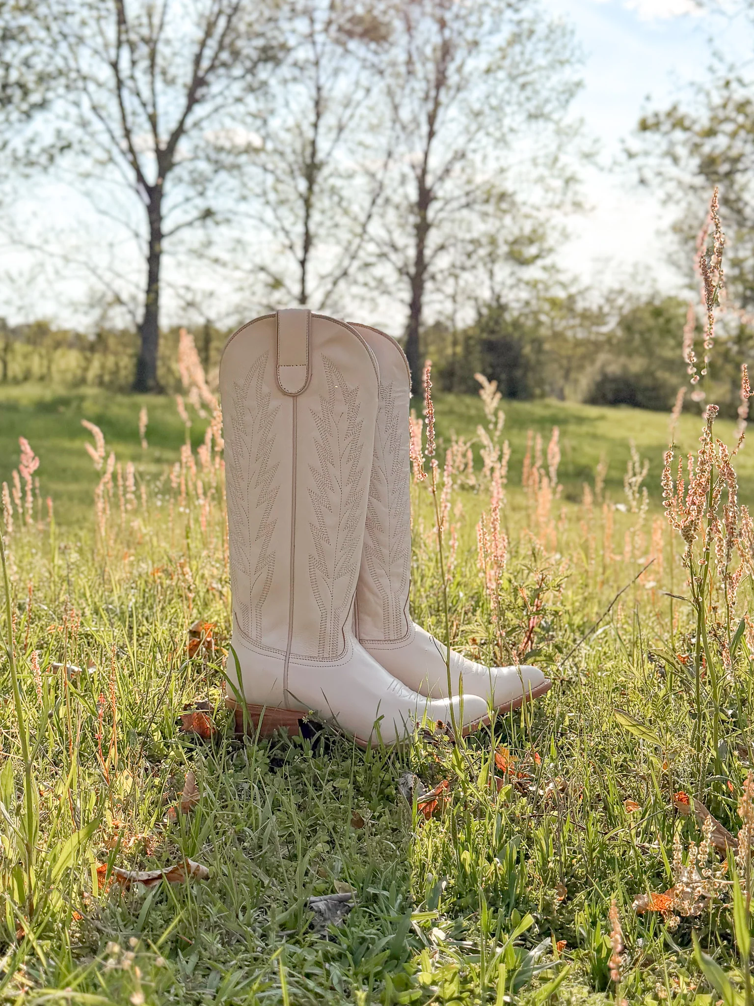 Women's 15" Macie Bean Spacey Gracey Almond Toe Cream Boot - Image 5