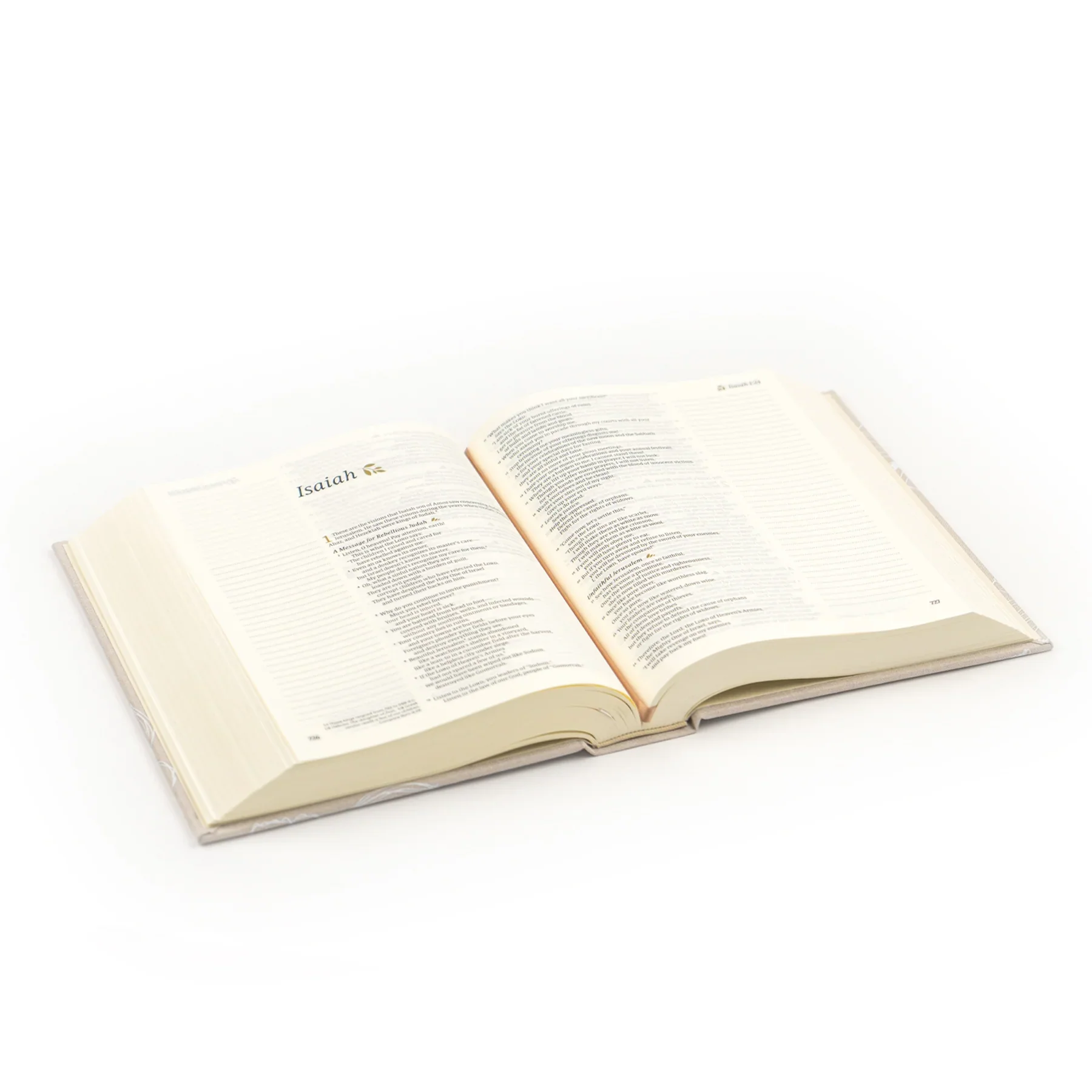 Hosanna Revival NLT Notetaking Bible: Cordova Theme - Image 12