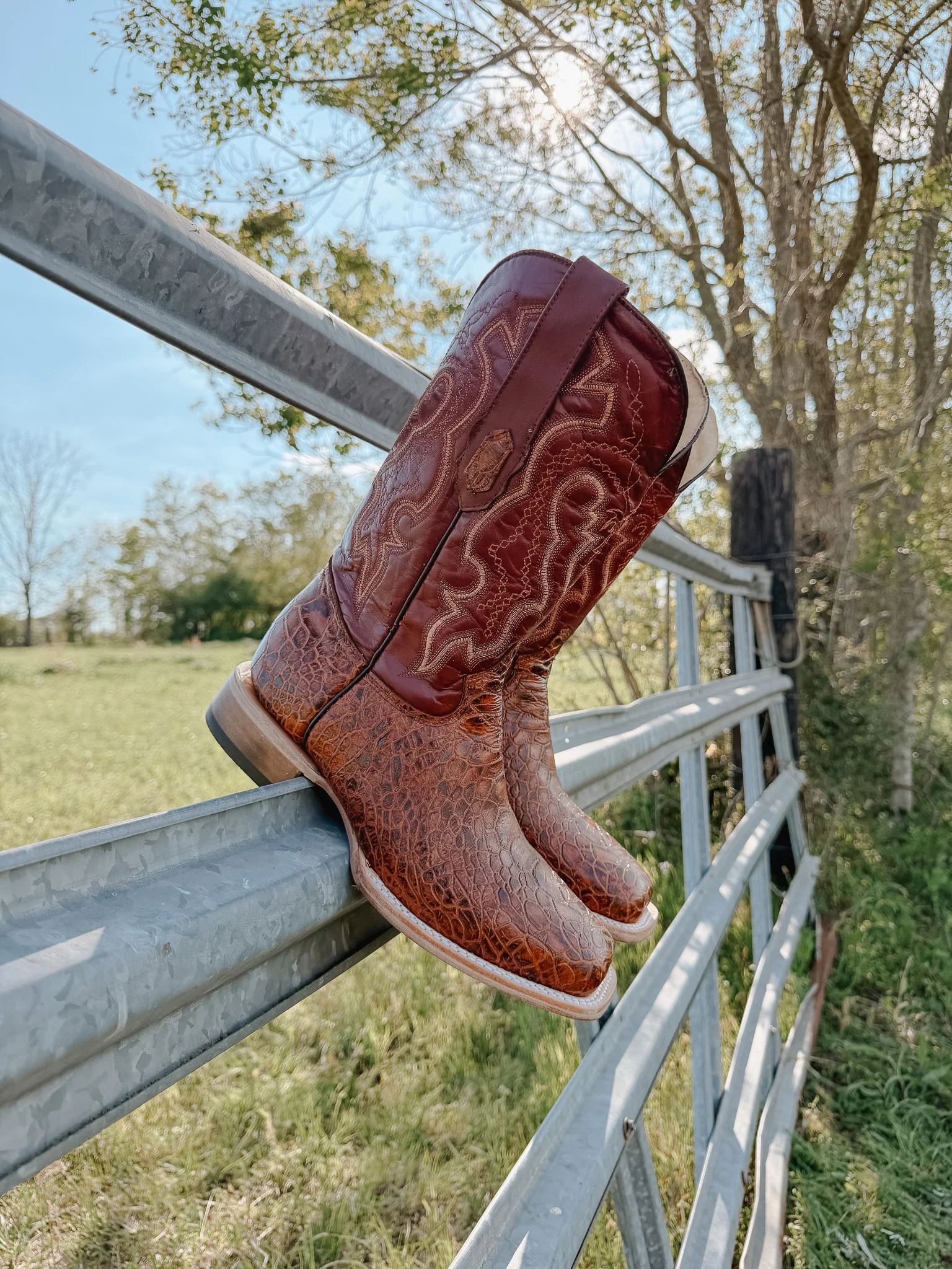 Men's Cowtown Cognac Sea Turtle Print Leather Boots
