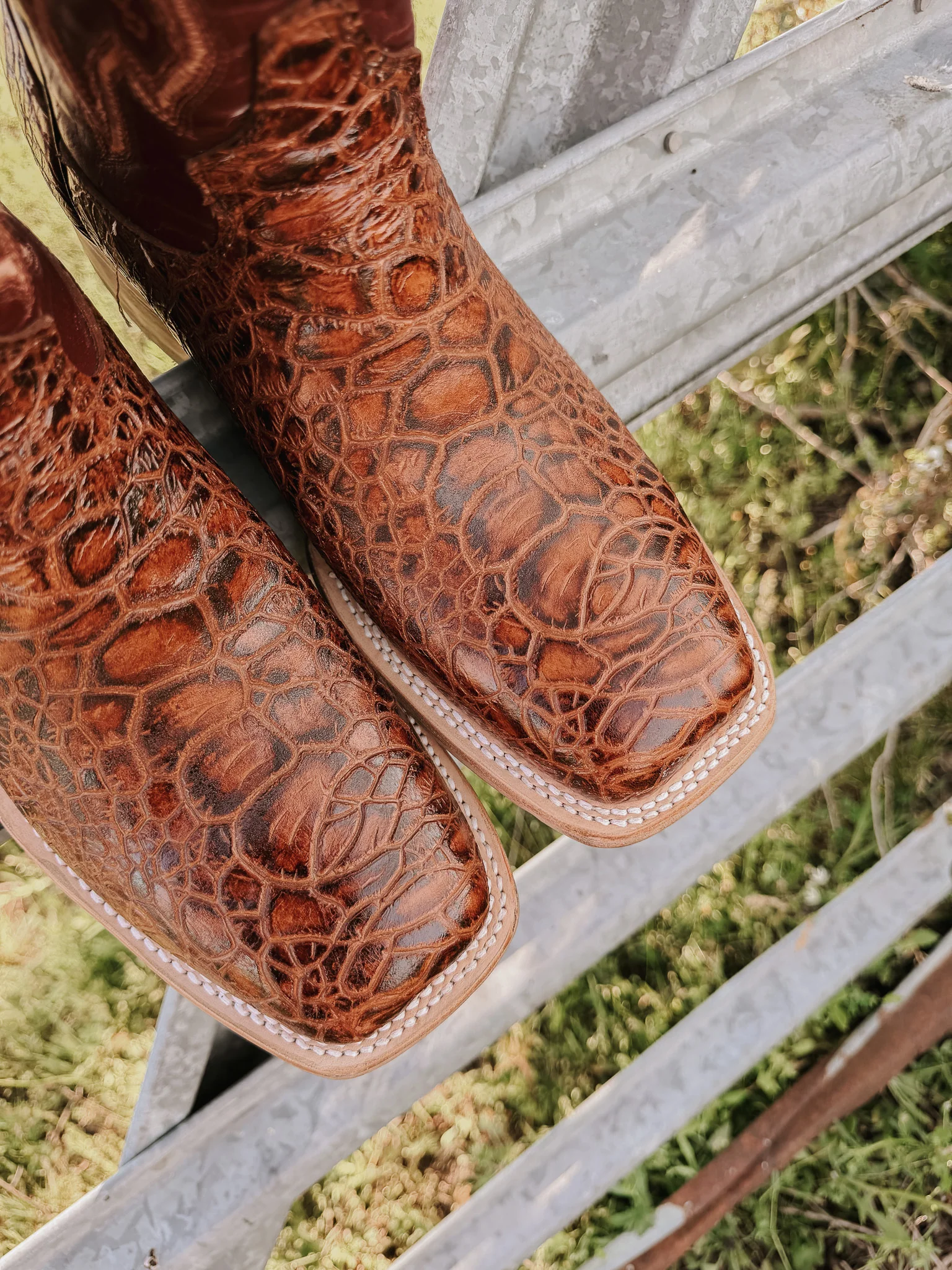 Men's Cowtown Cognac Sea Turtle Print Leather Boots - Image 2