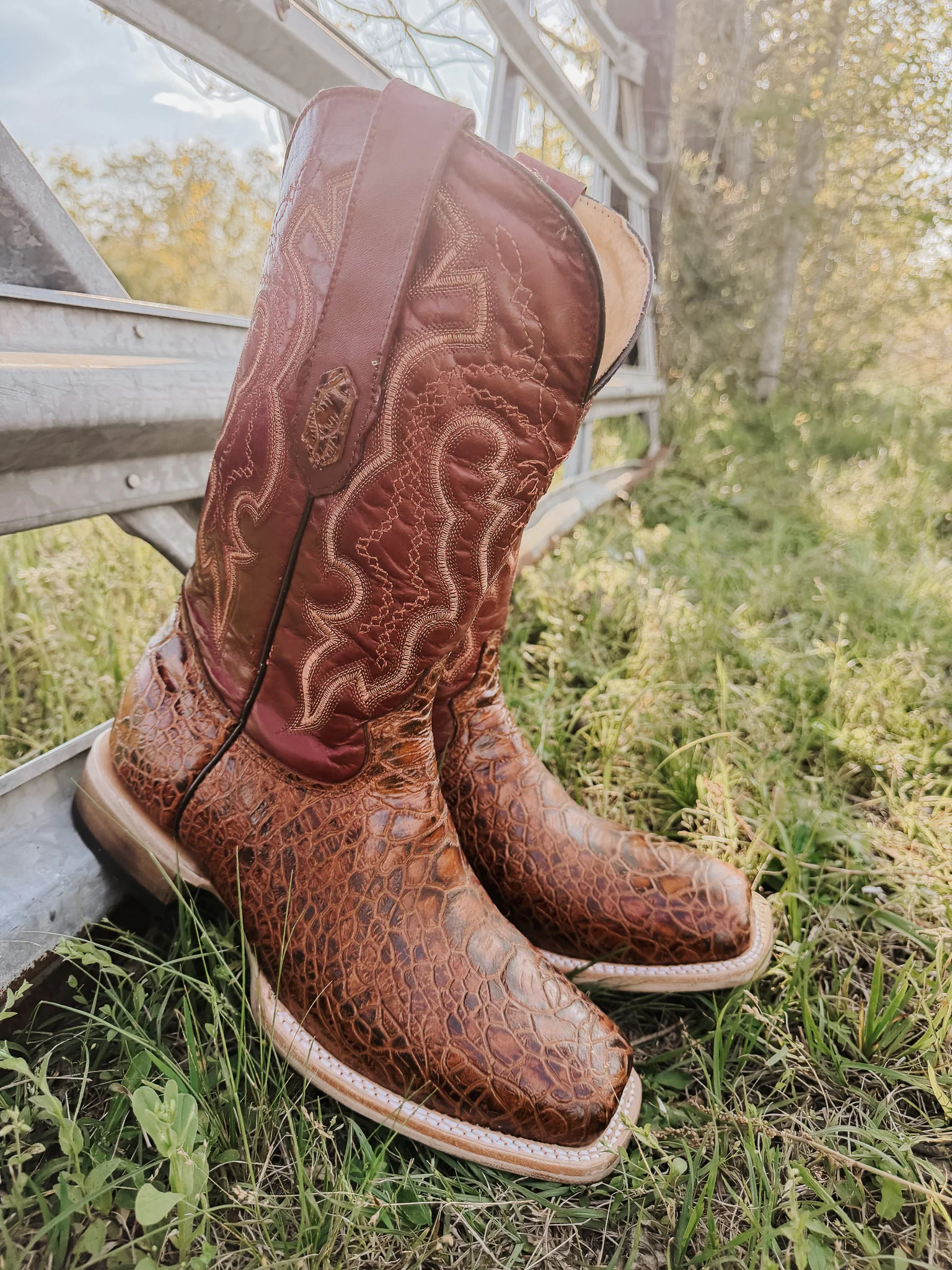 Men's Cowtown Cognac Sea Turtle Print Leather Boots - Image 4