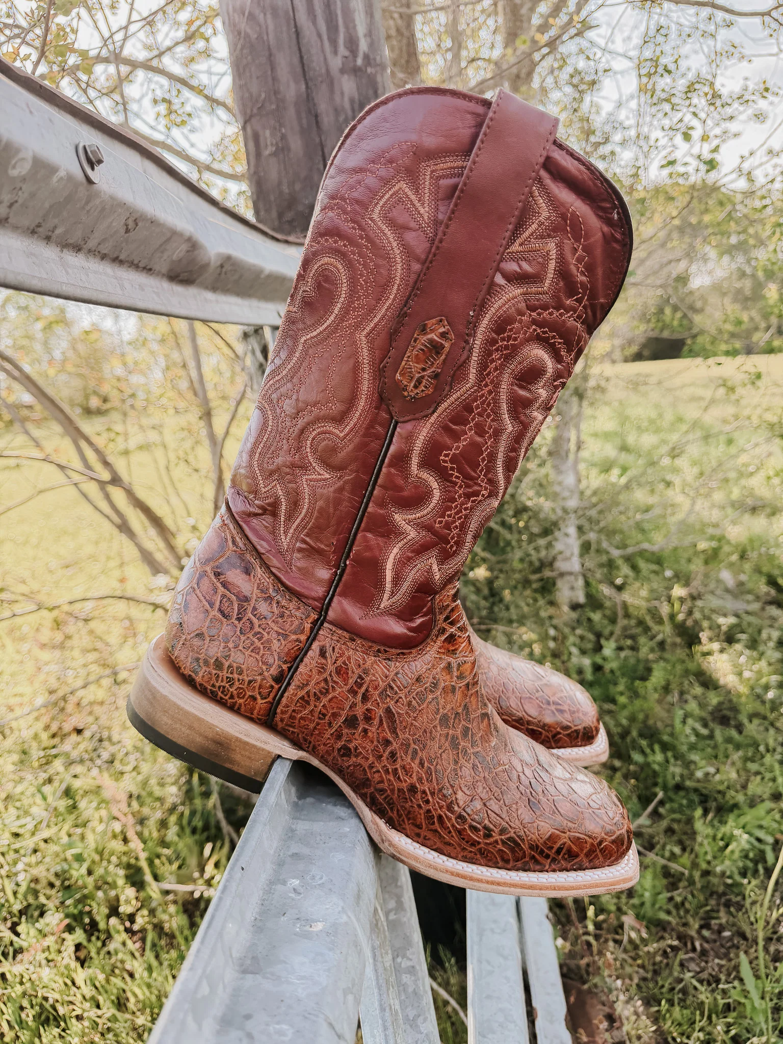 Men's Cowtown Cognac Sea Turtle Print Leather Boots - Image 5