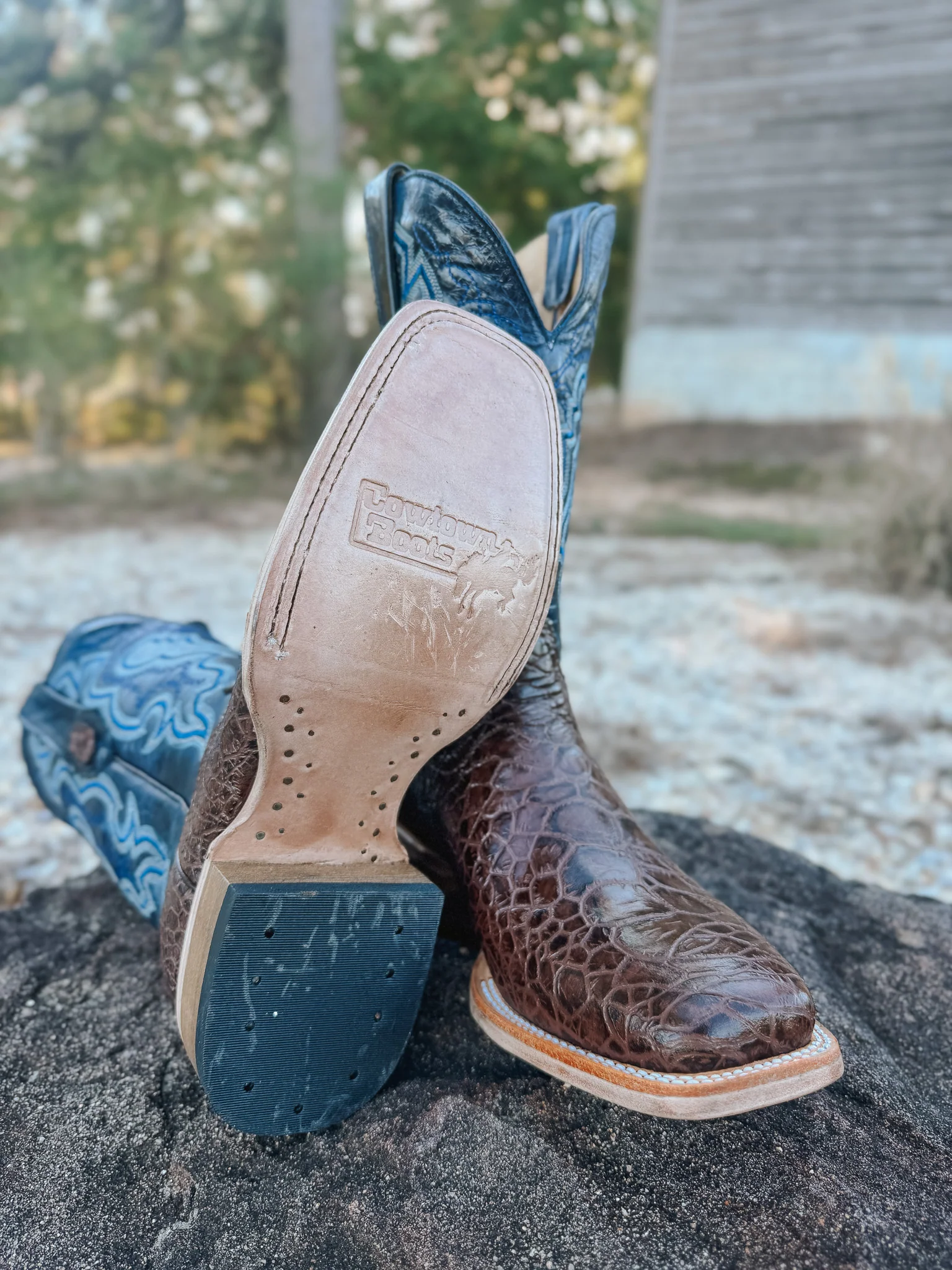 Men's Cowtown Brown Sea Turtle Print Leather Boots - Image 4