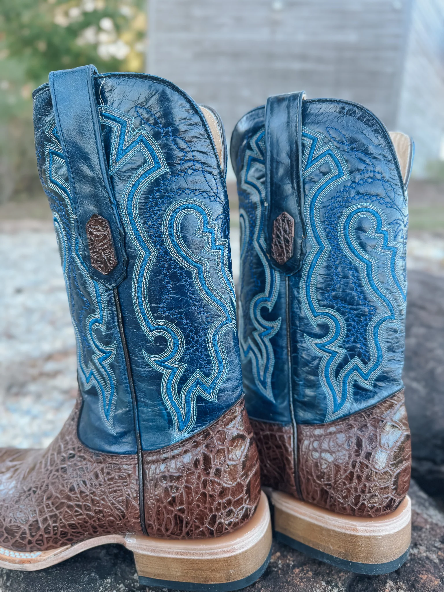 Men's Cowtown Brown Sea Turtle Print Leather Boots - Image 7