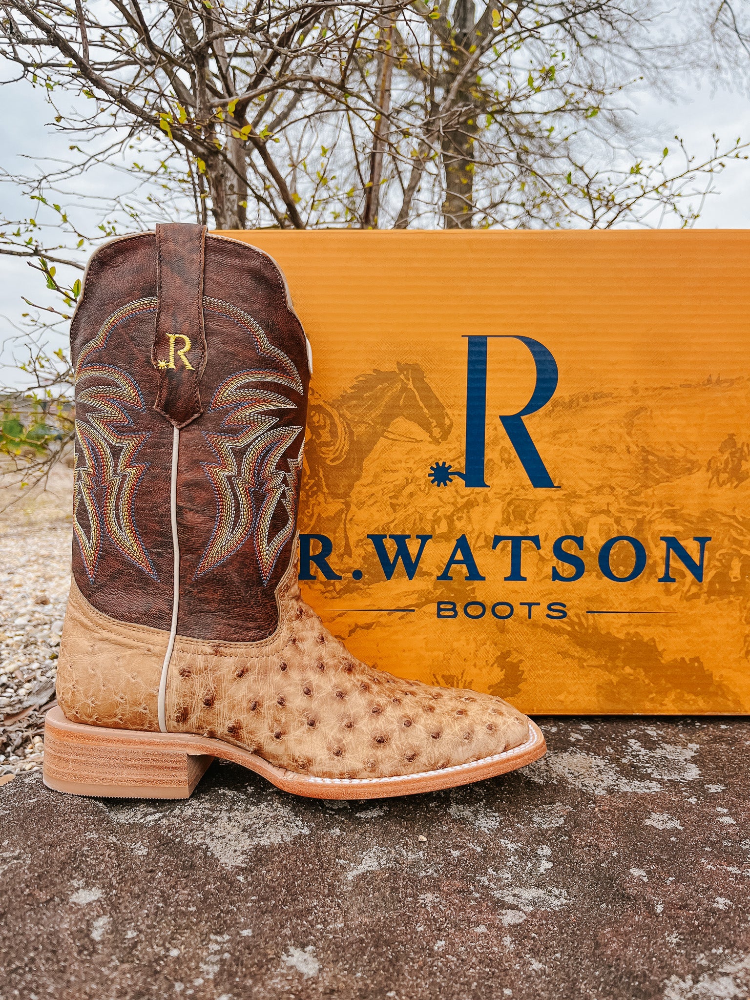 R. WATSON MEN'S ANTIQUE SADDLE FULL QUILL OSTRICH WESTERN BOOTS - Image 4