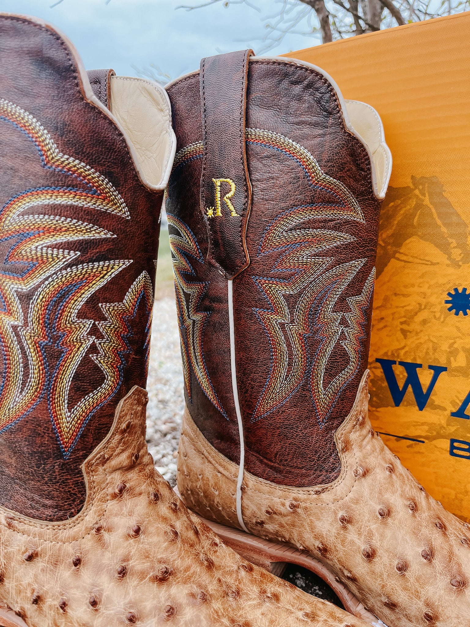 R. WATSON MEN'S ANTIQUE SADDLE FULL QUILL OSTRICH WESTERN BOOTS - Image 5
