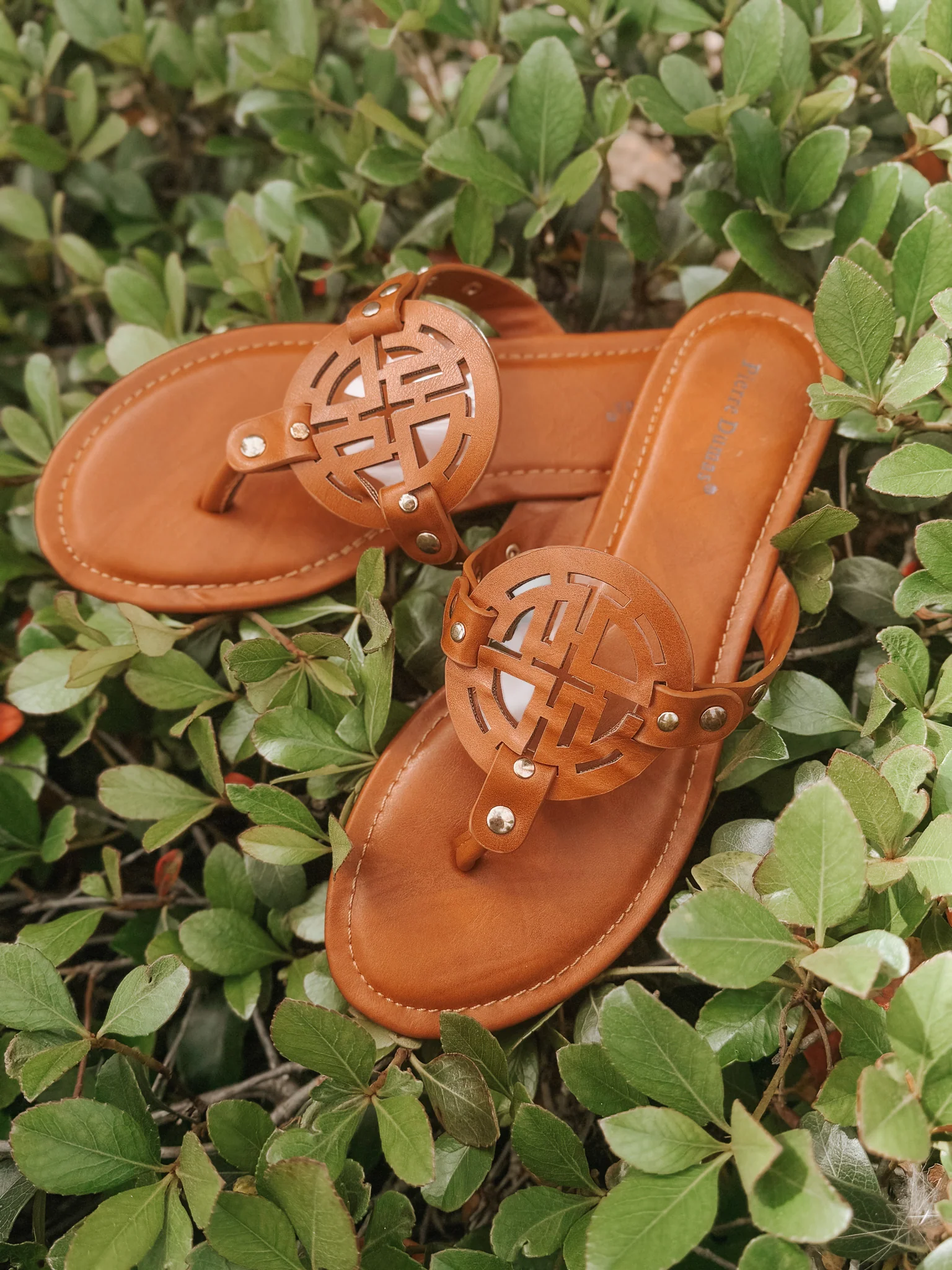 Canyon Cutie Sandal