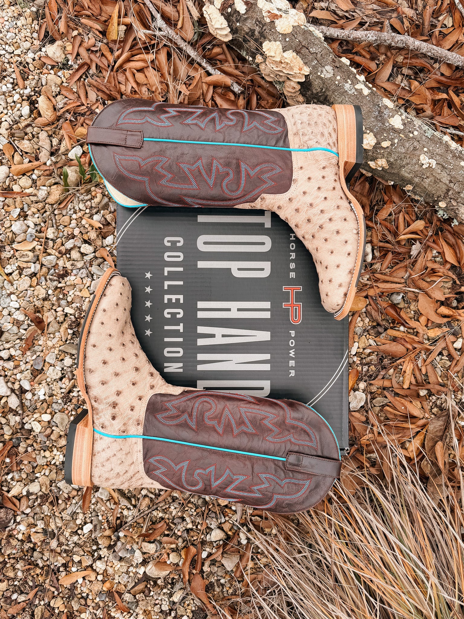 Men's Horse Power Bruciato Ostrich Boots - Image 5
