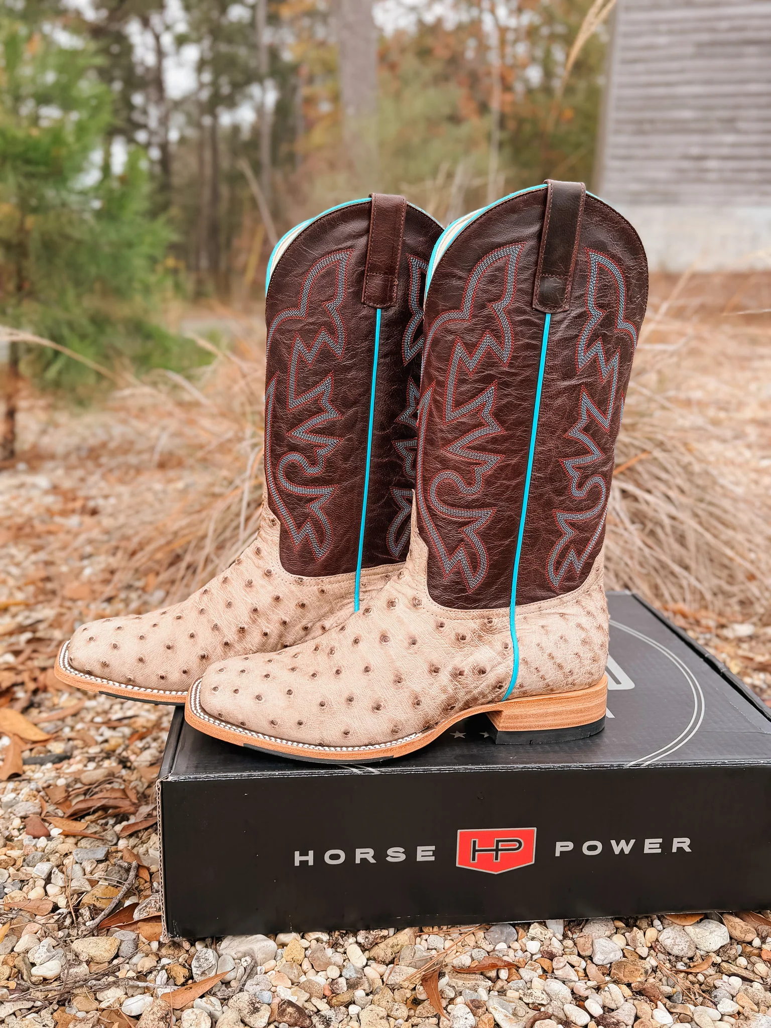 Men's Horse Power Bruciato Ostrich Boots - Image 7