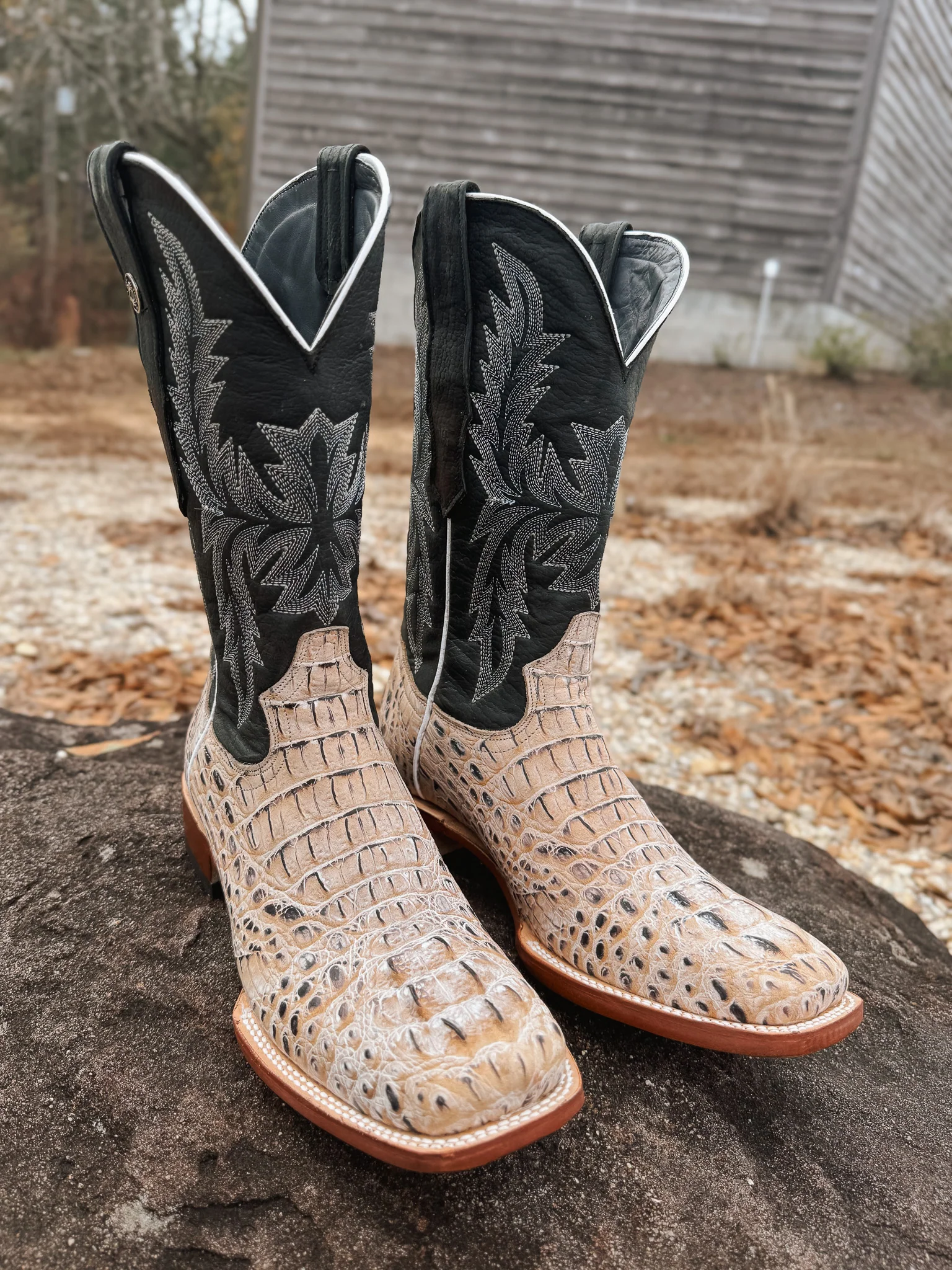 Tanner Mark Men's Caiman Hornback Print Square Toe Boots in Natural - Image 6