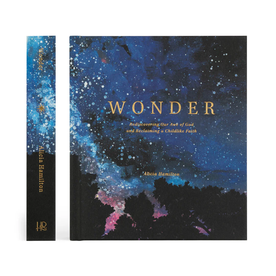 Hosanna Revival WONDER by Alicia Hamilton - Image 9